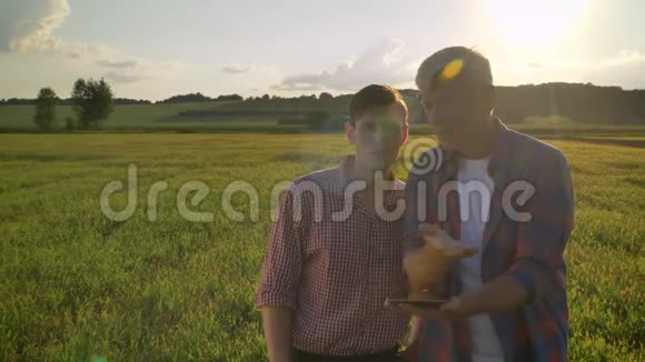 老农与他的继任者讨论新项目拿着石碑站在美丽的夕阳下的麦田上视频的预览图