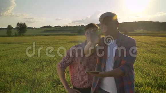 老人与成年儿子一起规划新项目向前方的麦田解释和指点农夫与他的继任者视频的预览图