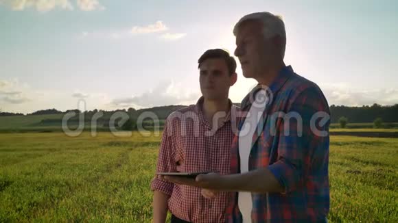 老爸爸带着儿子计划种菜拿着石碑站在麦田里讲计划美丽的景色视频的预览图