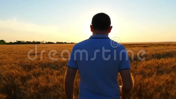一位年轻的准农民在日落前缓慢地走着麦田收获的概念视频的预览图