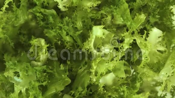 绿色沙拉留下背景把新鲜的弗里斯沙拉合上素食有机食品健身和健康营养视频的预览图