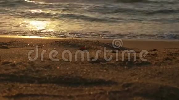 海面上的红色日落太阳触及地平线红色的天空黄色的太阳和令人惊叹的大海夏日晚霞海景大西洋海滩视频的预览图
