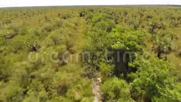 空中自然田树视频的预览图
