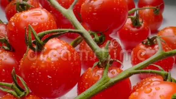 小红樱桃西红柿在灰色桌子宽宏大量拍摄视频的预览图