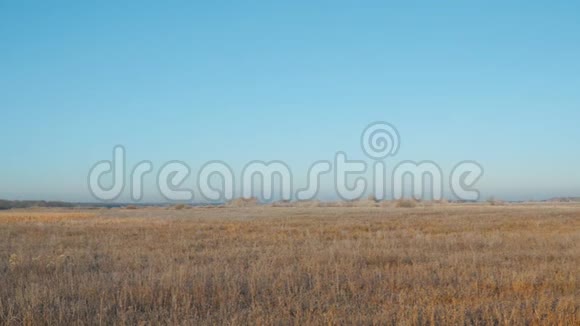 一块大草地或田野在蓝天上长满干草视频的预览图