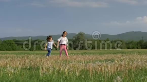 美丽的风景两个欢快的小妹妹跑在蒲公英的田野里笑着享受童年自由和h概念视频的预览图