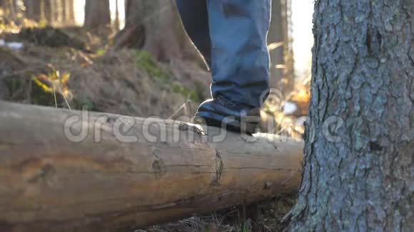 在松林中的木木上行走的雄性的双脚无法辨认的年轻人把时间花在大自然上视频的预览图
