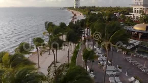 在靠近墨西哥坎昆的海滨度假胜地附近棕榈树随风飘动的空中景色视频的预览图