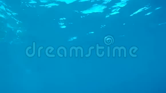 从水下浮出水面的水肺潜水员的视野视频的预览图