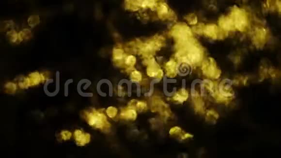 金色粒子温暖的高光在黑暗的背景上视频的预览图