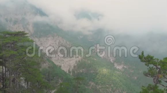 色彩斑斓的山景绿松环绕雾霭缭绕鸟瞰视频的预览图