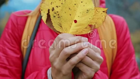 穿着红色夹克的漂亮微笑的女人站在户外手里拿着几片干黄的叶子和她们一起玩视频的预览图