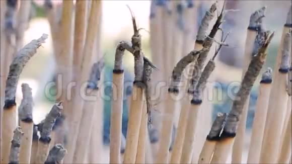 泰国一座寺庙里的一束熏香的镜头视频的预览图