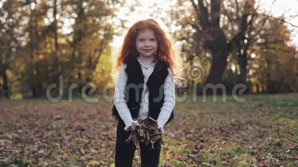 特写可爱的小女孩在缓慢的动作中投掷黄色的秋叶那孩子正在公园里散步视频的预览图