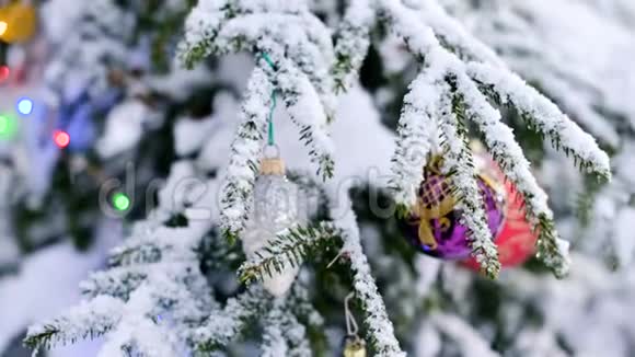 在白雪覆盖圣诞树的树枝上圣诞礼物旁边有一条白色丝带视频的预览图