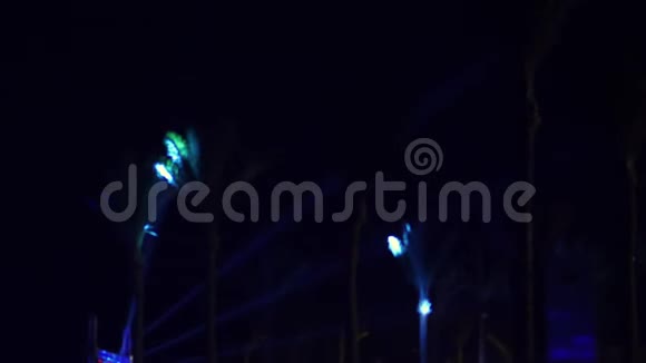 夜晚光线沿着棕榈树的轮廓移动户外夜盘视频的预览图