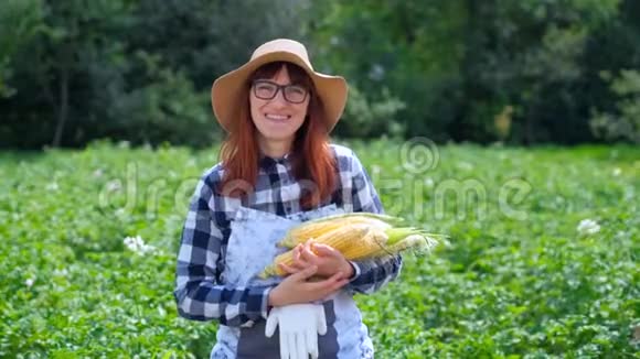 有玉米的女人在篮子里在农场或菜园里收割或出售蔬菜的概念视频的预览图