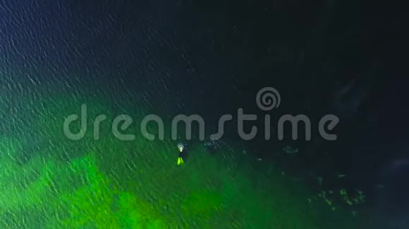 清冷的绿色湖景穿着西服的潜水员在清澈的水中游泳鸟瞰图视频的预览图
