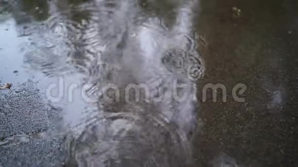 沥青上下大雨在下雨雨中的泡泡视频的预览图