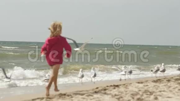 在晴朗的一天在海浪中笑着的女孩在美丽的海滩上和鸟鸥玩耍视频的预览图