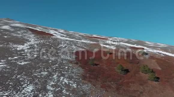 阿尔泰Saylyugemsky国家公园的严酷性质空中视野4K山羊野羊视频的预览图