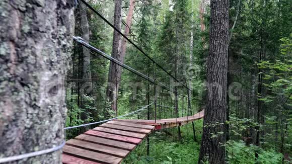 密林中的绳径库存录像吊桥穿过绿色森林平桥悬挂在视频的预览图