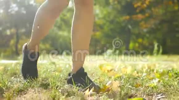 台阶五彩缤纷的秋天城市公园腿视频的预览图