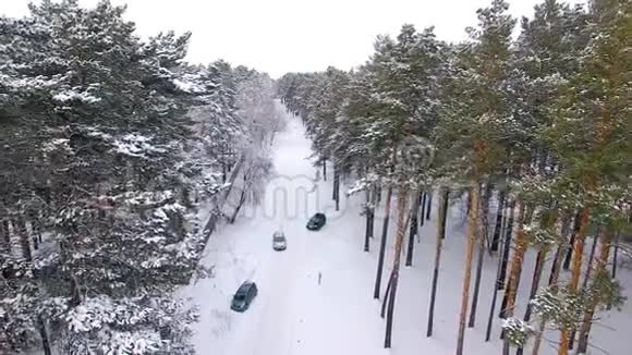 冬季森林中汽车运动的鸟瞰图视频的预览图