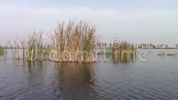科马纳湖视频的预览图