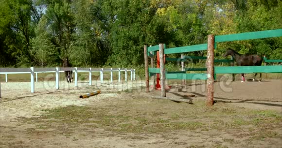 在夏林骑马关心动物长时间休息后训练概念马和人视频的预览图