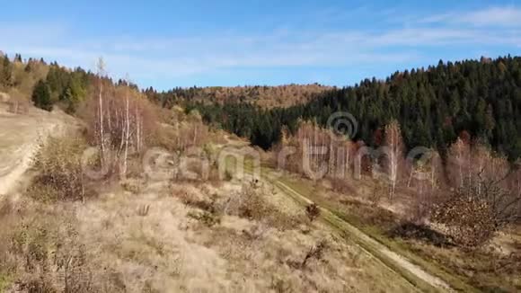 喀尔巴阡山脉和森林秋天的时候平稳向前飞视频的预览图