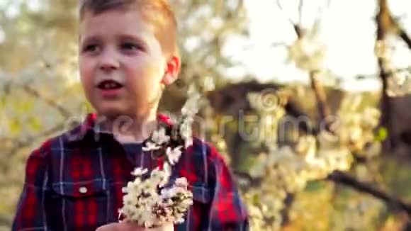 小男孩闻着春天的鲜花视频的预览图