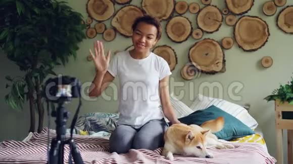 可爱的非洲裔美国青少年博客写手正在录制视频博客坐在床上抚摸可爱的宠物狗并与之交谈视频的预览图
