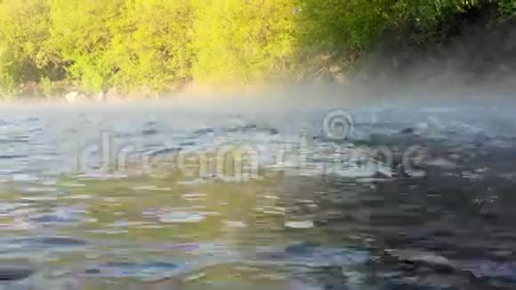 河水迅速流过岩石清晨晴朗的早晨视频的预览图