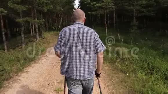 徒步旅行者在森林里走得更深视频的预览图