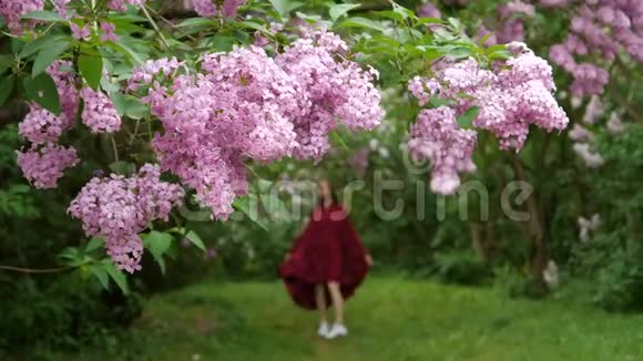 一个穿着宽松衣服的瘦女孩在花丛中旋转视频的预览图