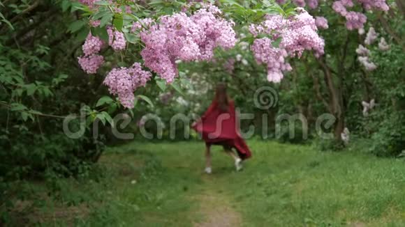 那个女人带着盛开的紫丁香灌木离开了公园视频的预览图