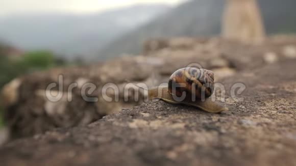 大范围地拍摄一只蜗牛它爬上了群山背景下古老城堡的墙视频的预览图