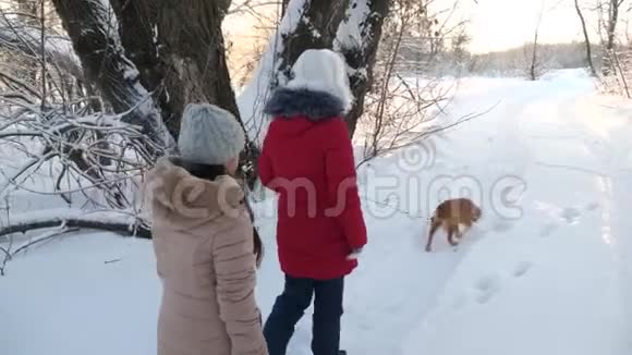 孩子们在冬天和一只狗在公园里旅行两个女孩和狗在冬天公园的小路上散步视频的预览图