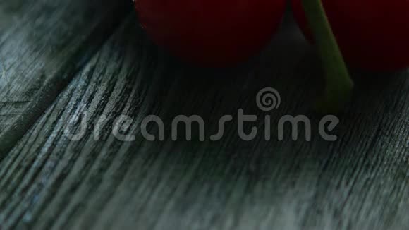 嫩枝和成熟的红西红柿视频的预览图