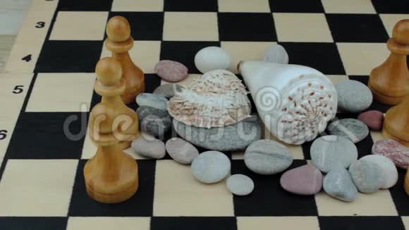 河壳和棋子视频的预览图