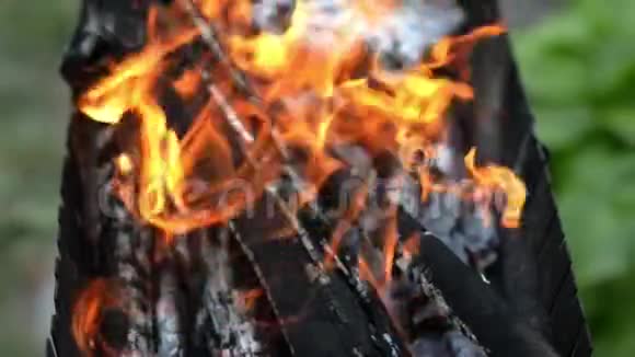 关闭室外烧烤壁炉夏天或秋天露营旅行燃烧灰烬的火焰视频的预览图