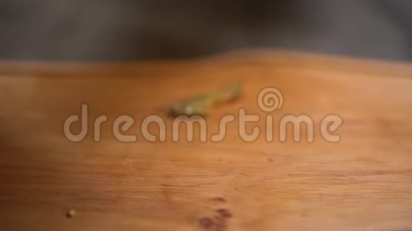 夹着排骨的辣味三明治紧紧地落在木板上在餐厅准备美味的食物视频的预览图