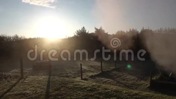 一个雾蒙蒙的早晨有草坪篱笆树木和油箱视频的预览图