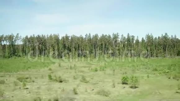 从火车的窗户看茂密的森林慢镜头夏日乘火车旅行视频的预览图