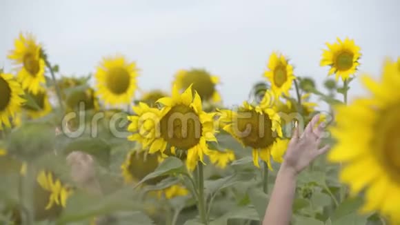 俏皮可爱的卷发女子看着镜头笑眯眯的站在向日葵花田明亮的黄色快乐视频的预览图