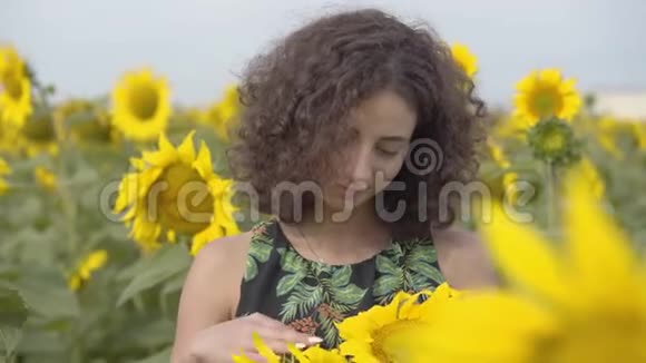 可爱的卷曲嬉戏女人站在向日葵地上微笑着看着镜头的肖像亮黄色视频的预览图