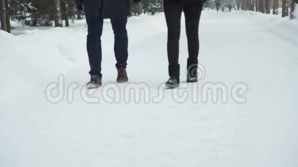 在公园的雪道上散步的情侣视频的预览图