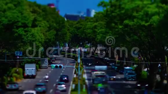 东京Yoyogi公园附近一条绿色街道的时间推移视频的预览图