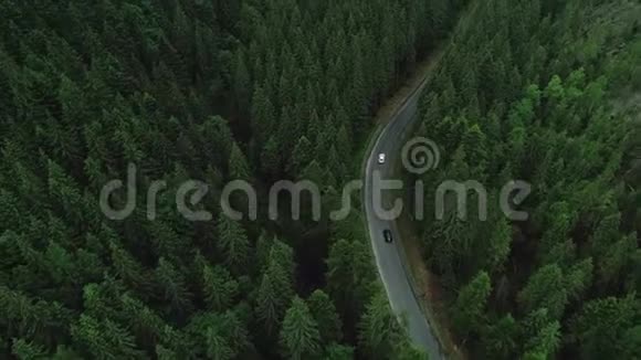 汽车在柏油路和茂密的森林上行驶视频的预览图